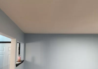 Professional House Painter